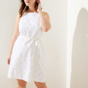 NWT Loft eyelet flare dress